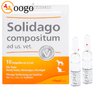 Solidago compound to us. vet. Ampoulen, 10 ampoules